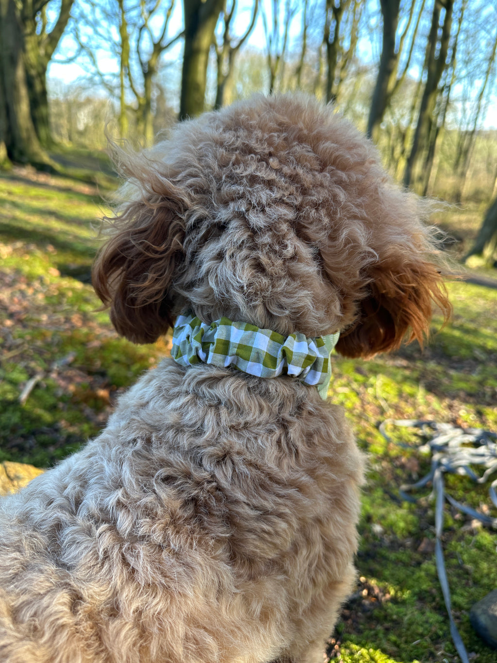 Sage Breeze Bandana
