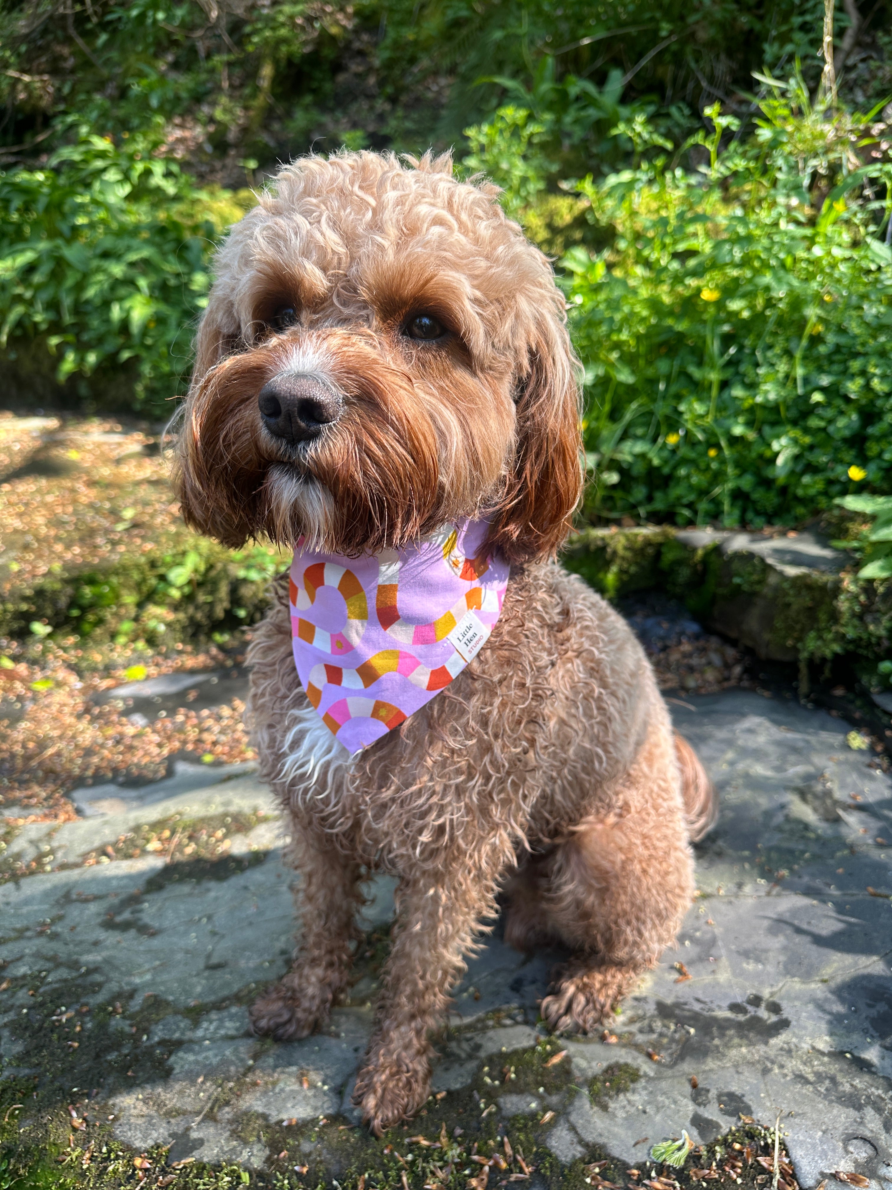 Candy Stripes Bandana