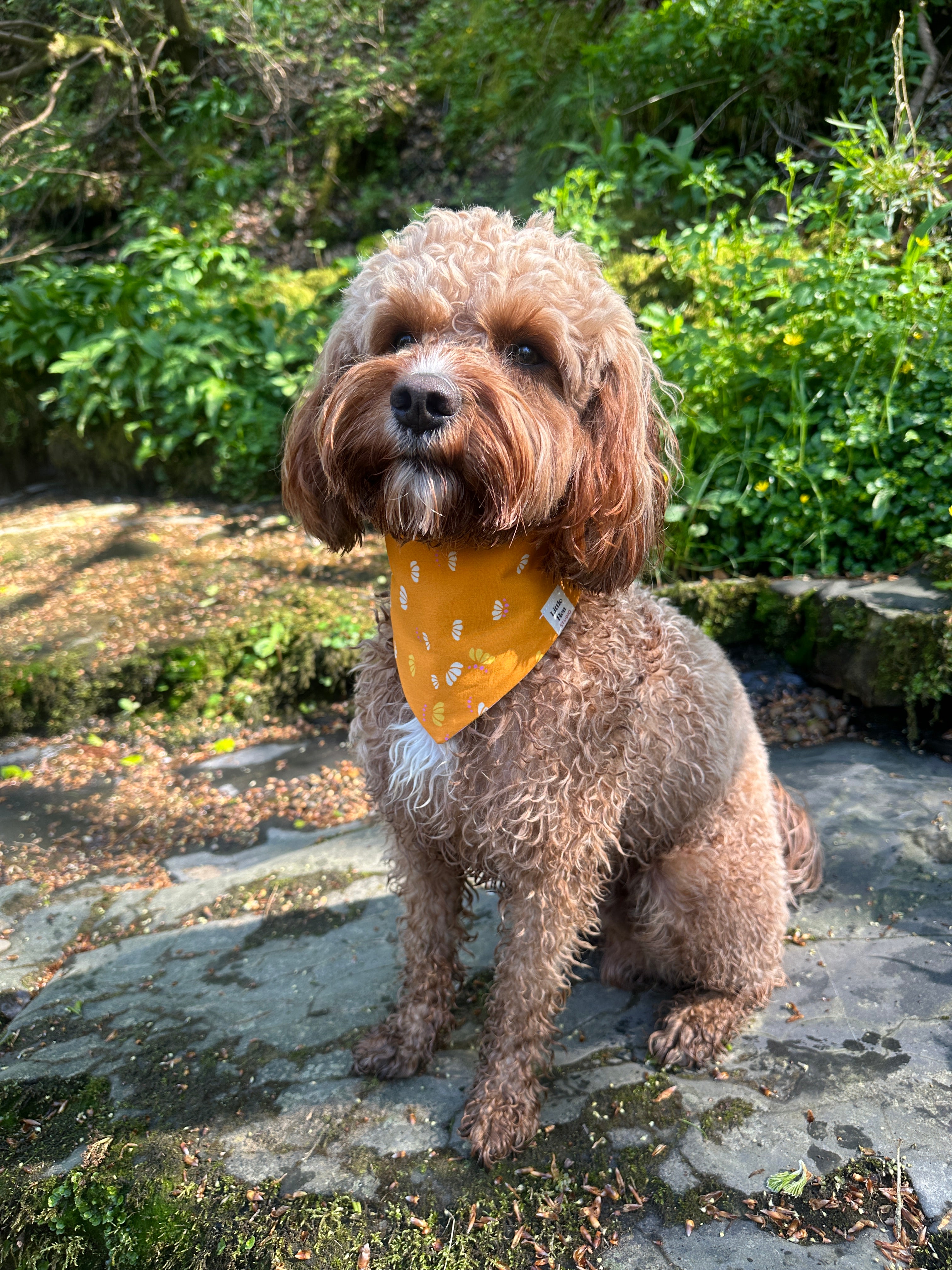 Golden Hour Bandana