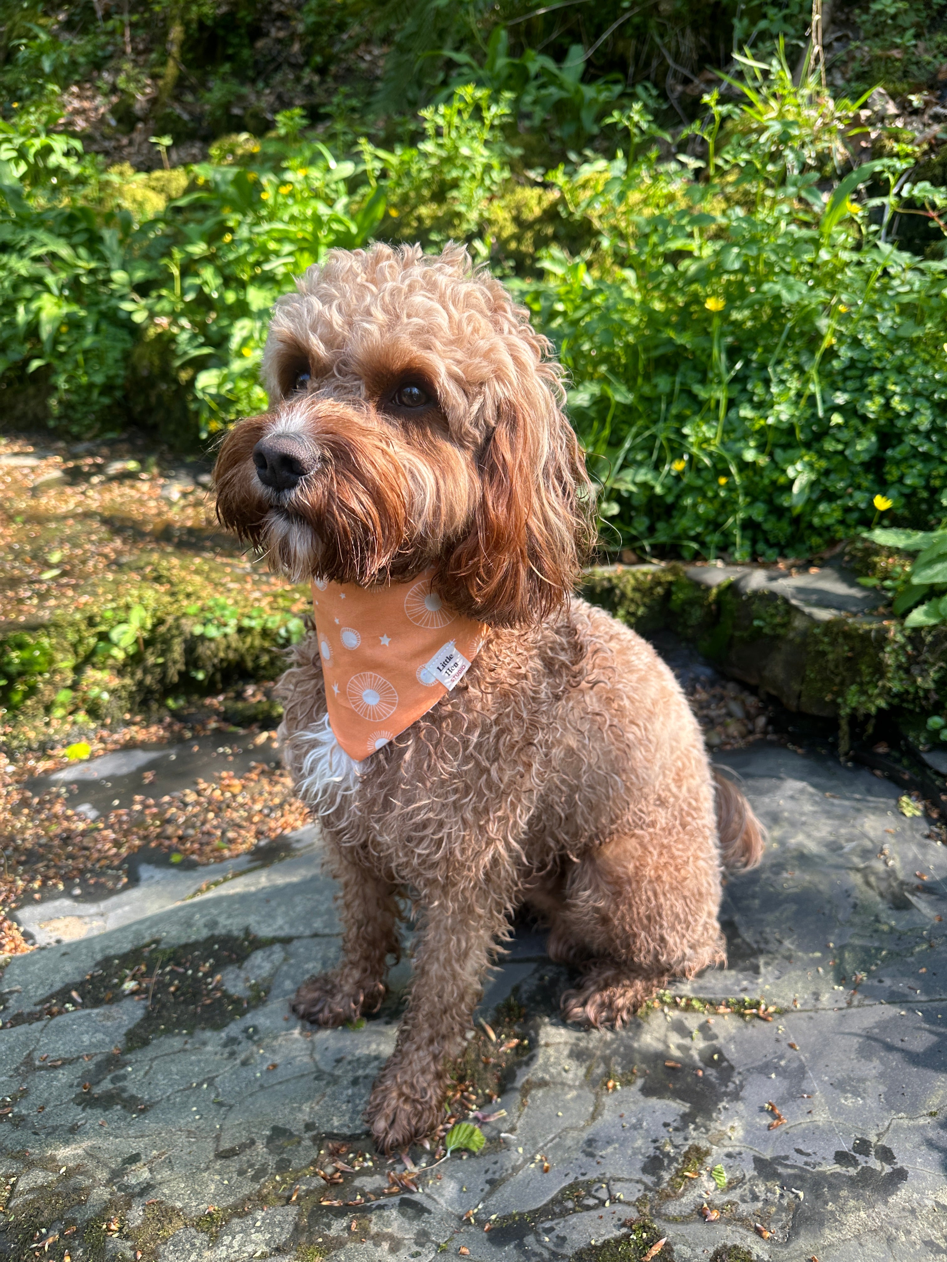 Peaches & Cream Bandana