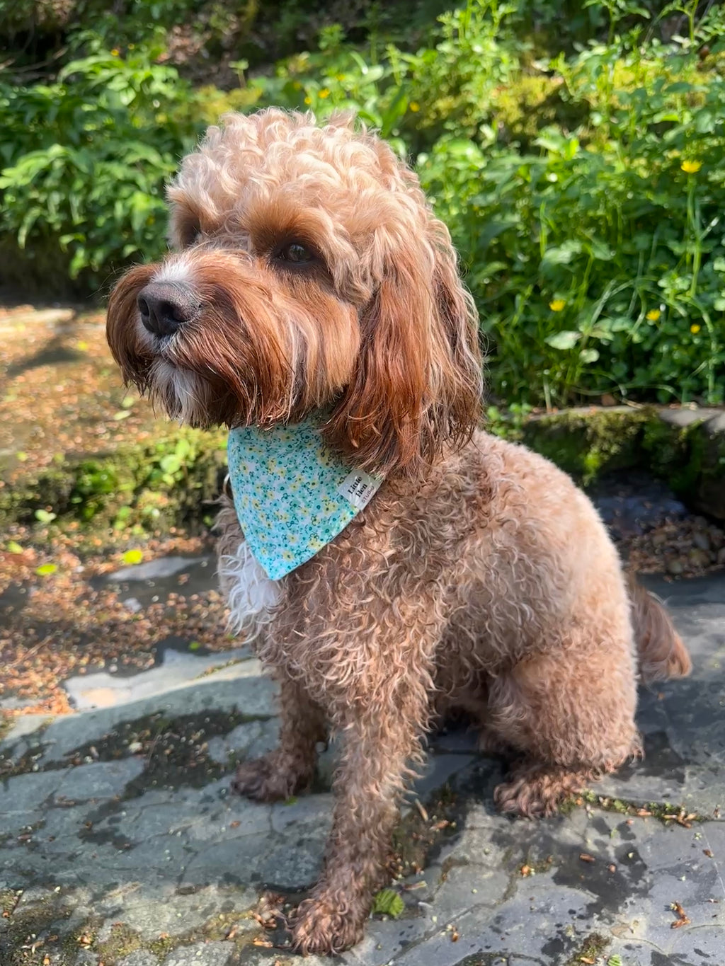 Secret Garden Bandana