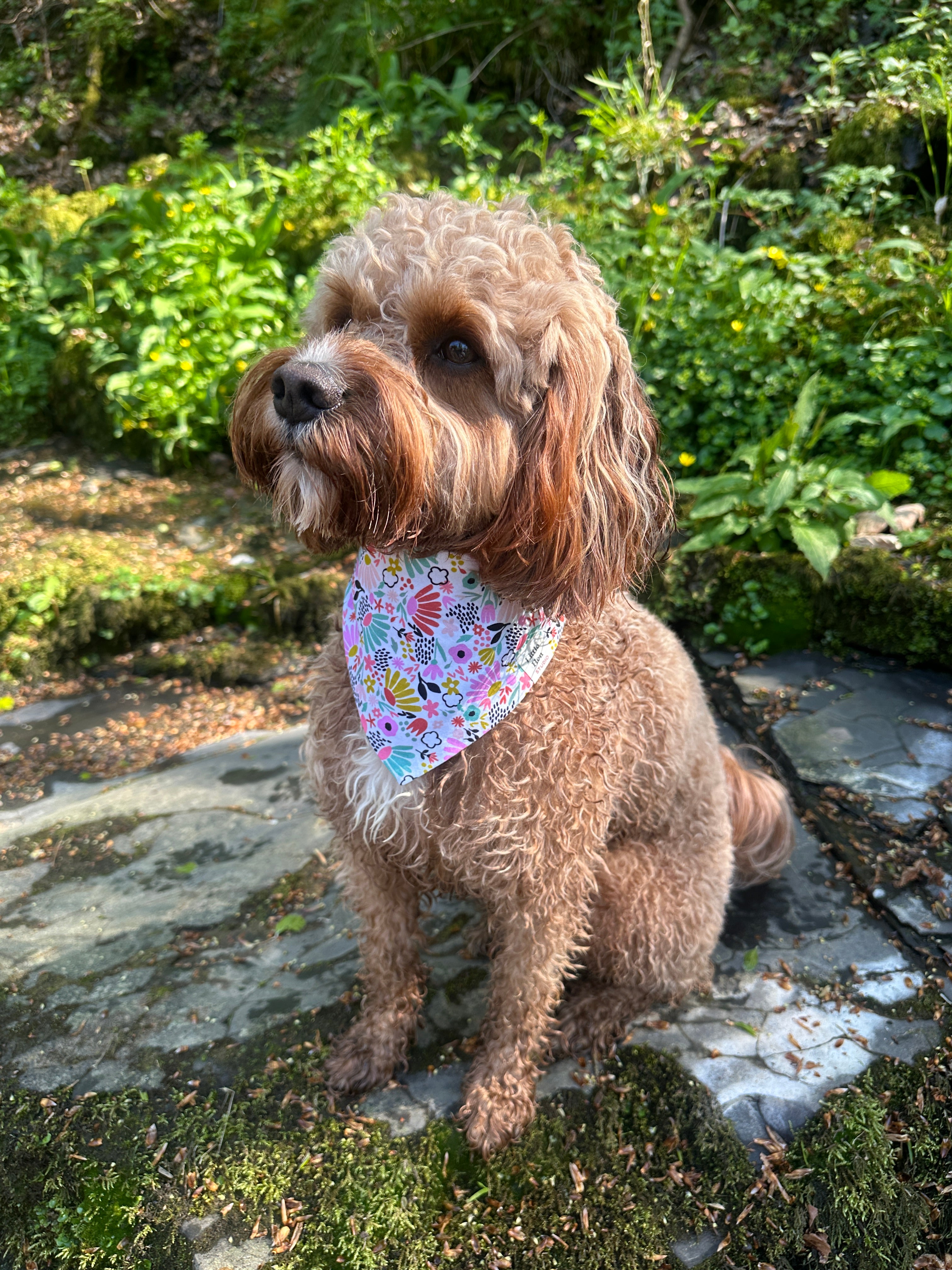 Wildflower Meadow Bandana